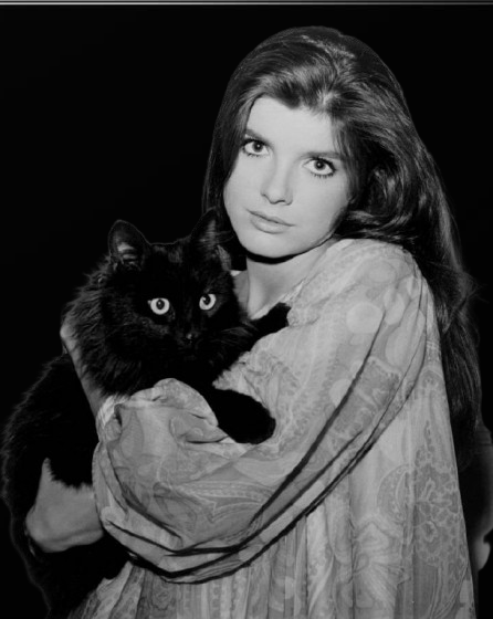 katharine ross